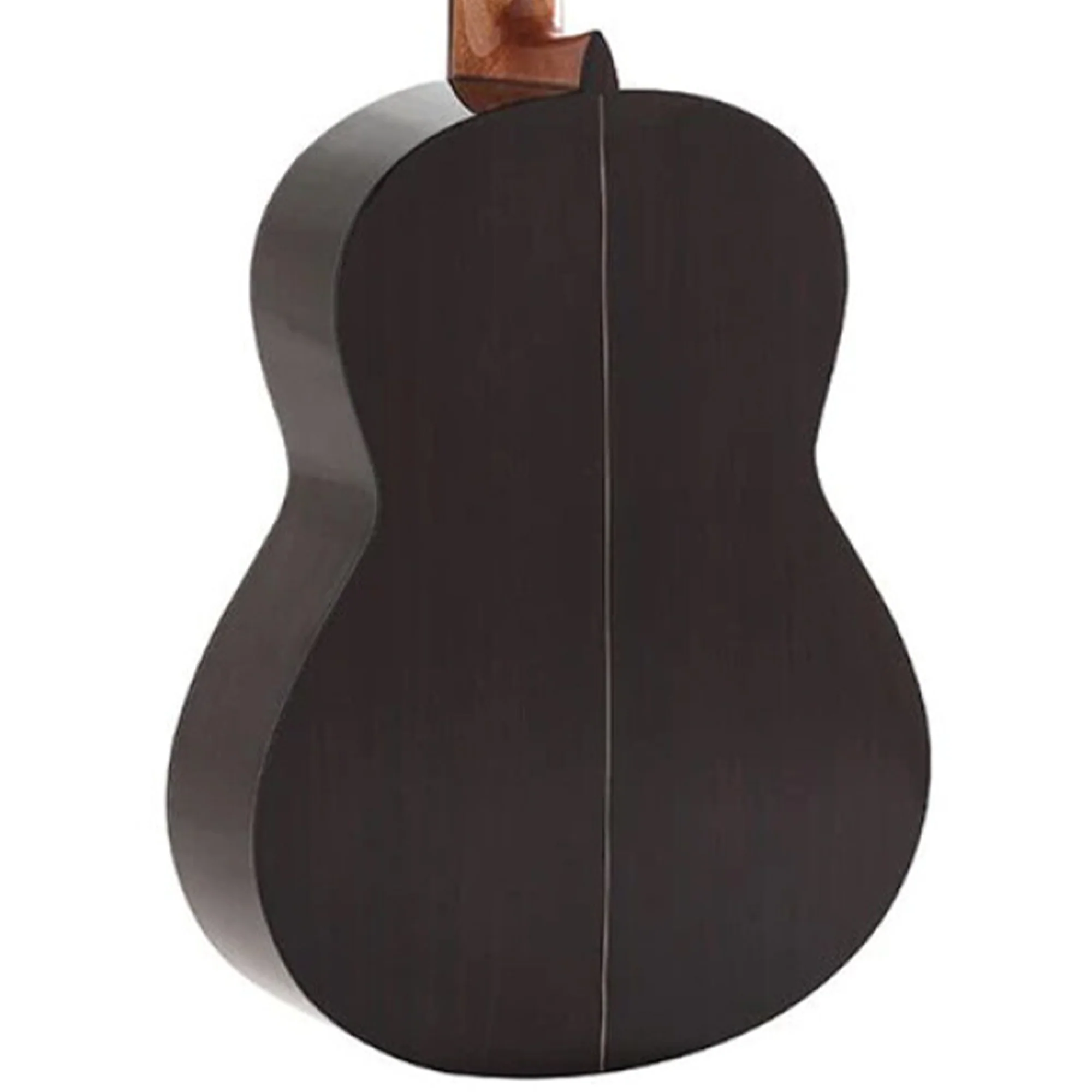 Admira A6-FISHMAN BLEN Cutaway Acoustic-Electric Classical Guitar - Image 2