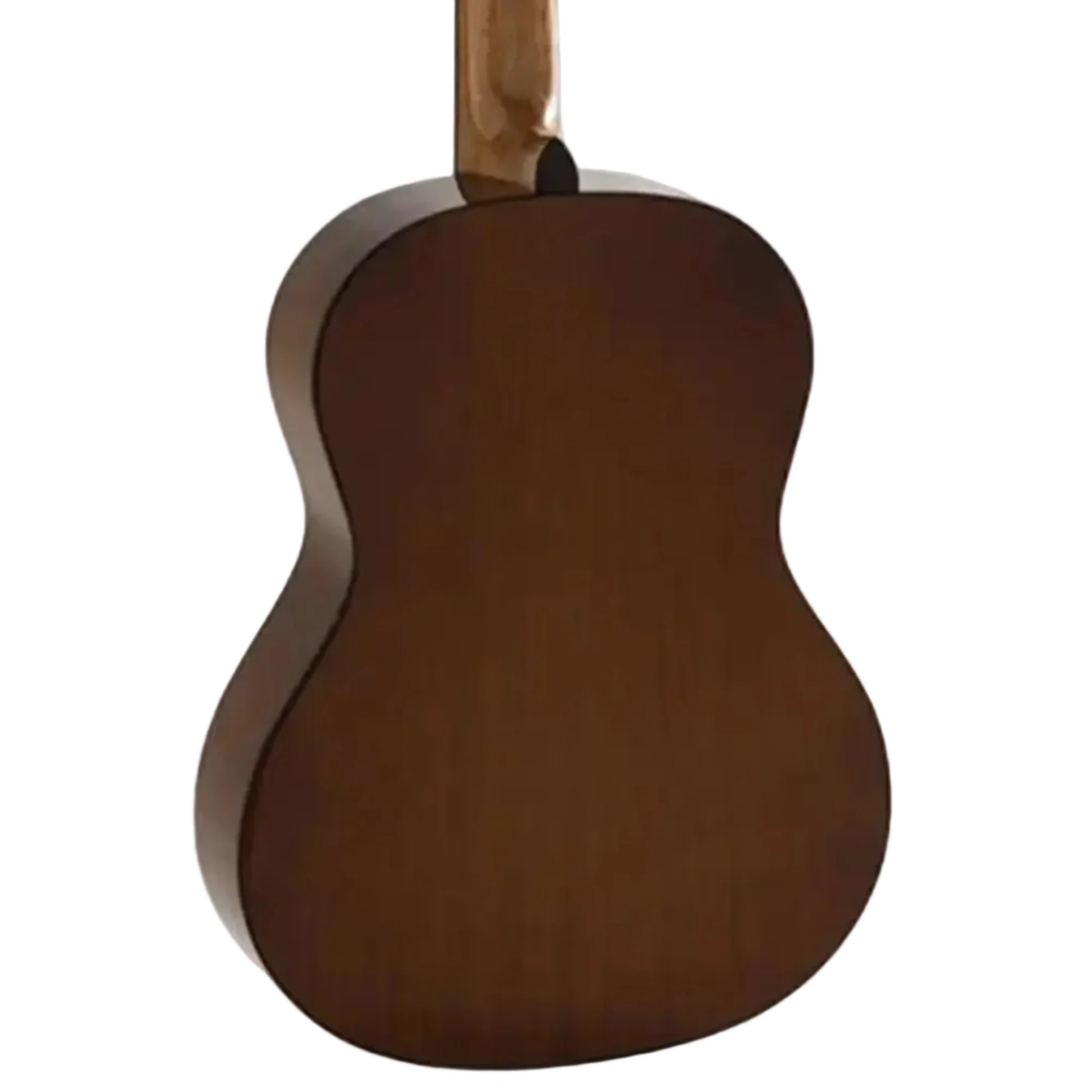 Admira ELSA Student Series Oregon Pine Top Classical Acoustic Guitar - Image 2