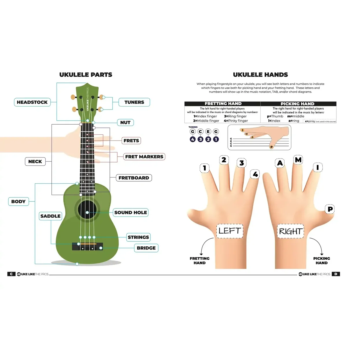 Beginning Kids Course Songbook by Terry Carter - Image 2