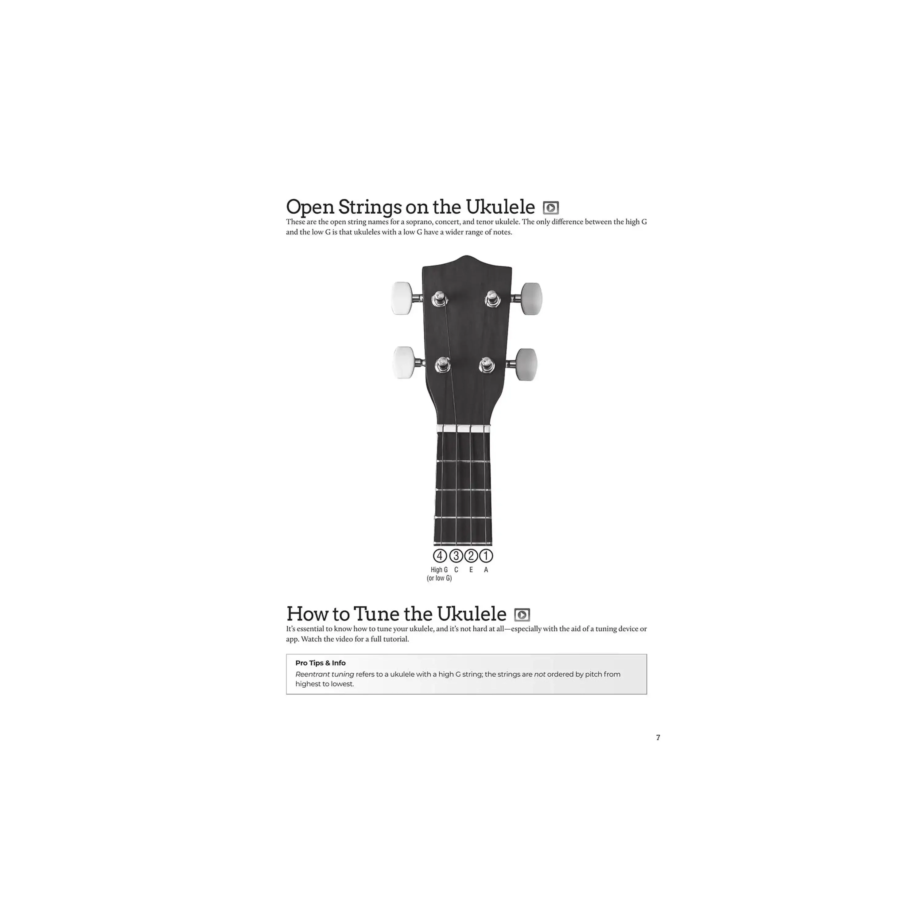 DO-IT-YOURSELF UKULELE The Best Step-by-Step Guide to Start Playing for Soprano, Concert, or Tenor Ukulele - Image 4