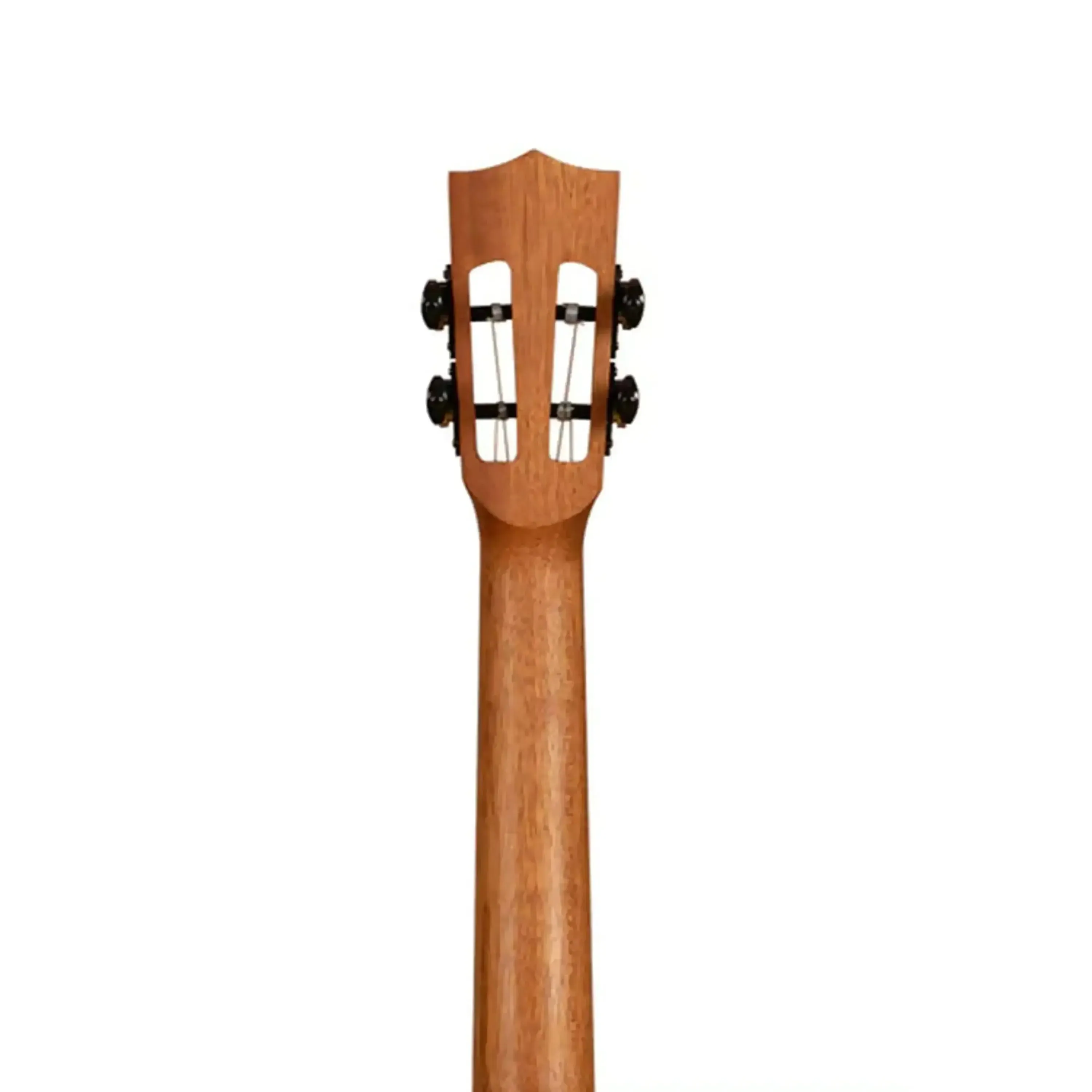 Kala CT-SA-TG Contour Series Solid Acacia Tenor Ukulele - Image 6
