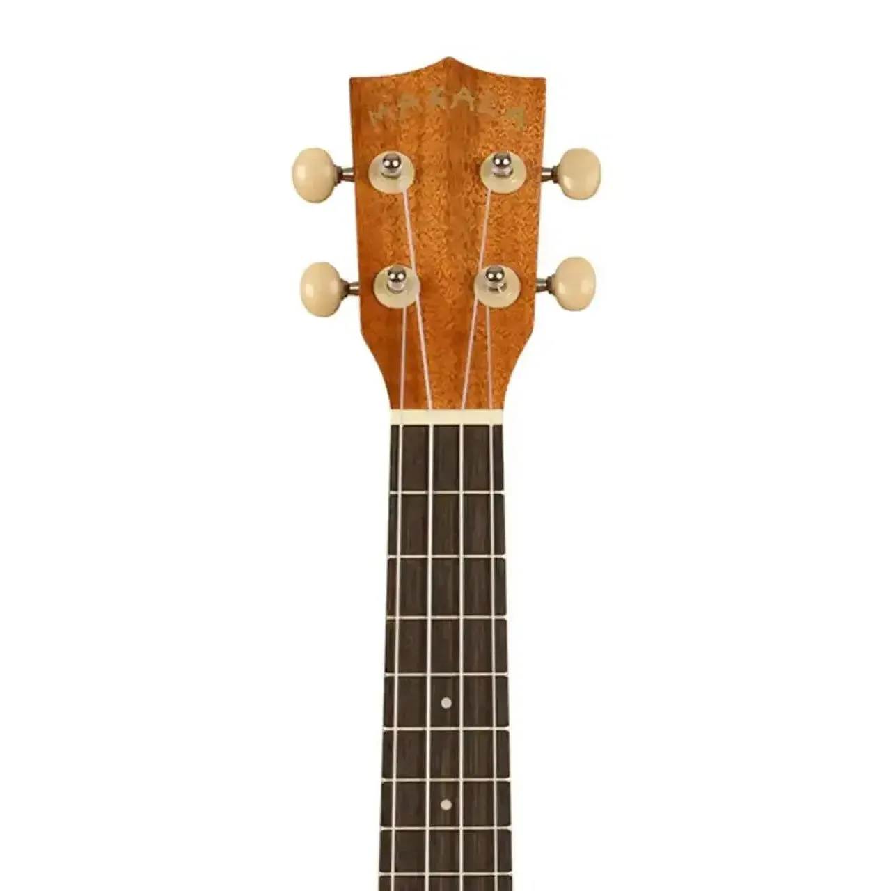 Kala Makala MK-C/PACK Mahogany Concert Ukulele Pack - Image 5