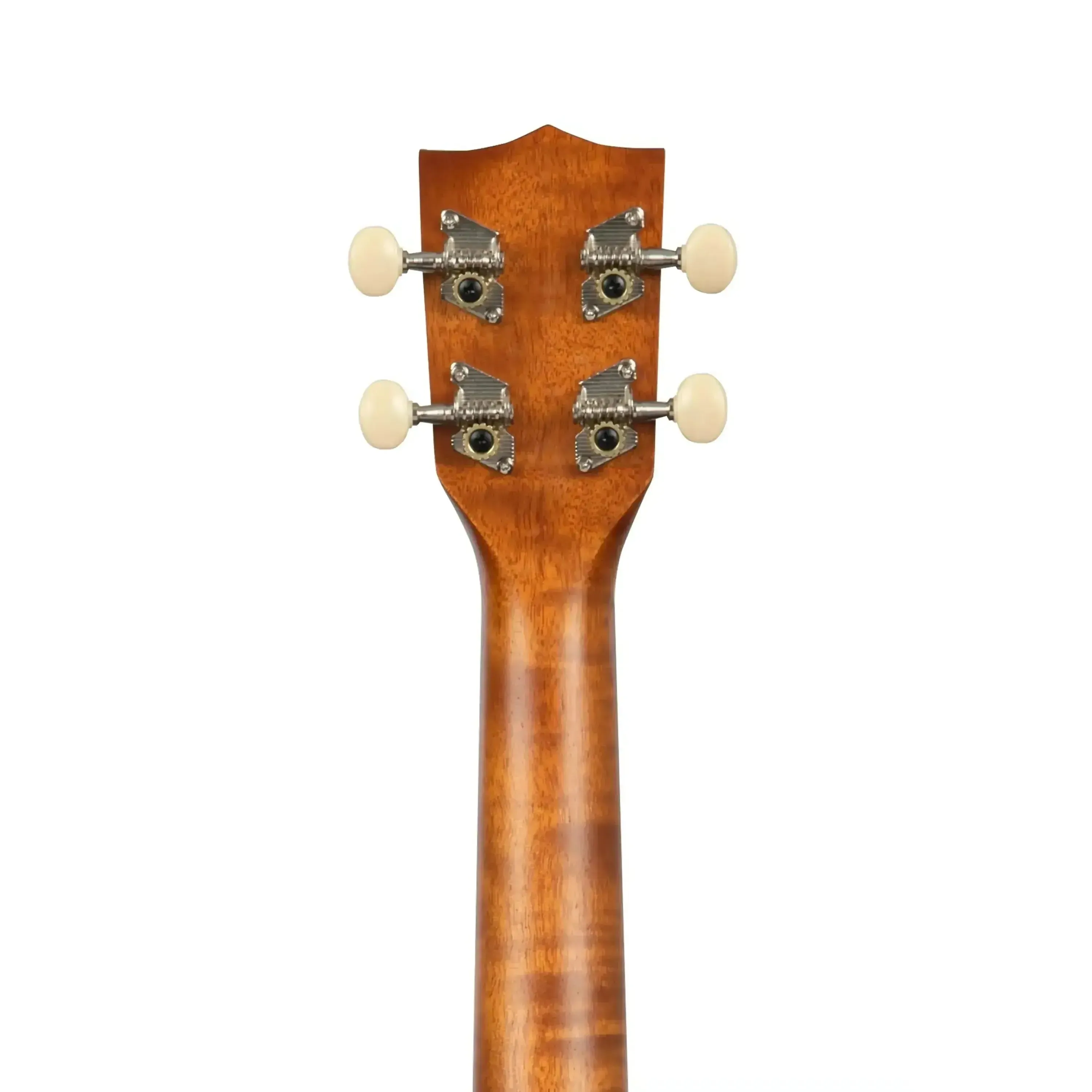 Kala SURF-RIPTIDE Spruce Top Concert Ukulele - Image 6