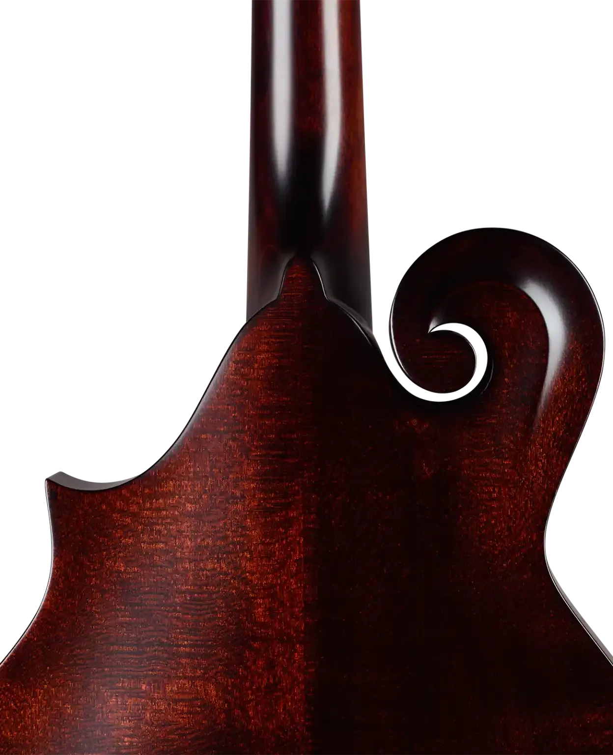Kentucky KM-626 Standard Oval Hole F-Model Mandolin – Satin Brown - Image 5