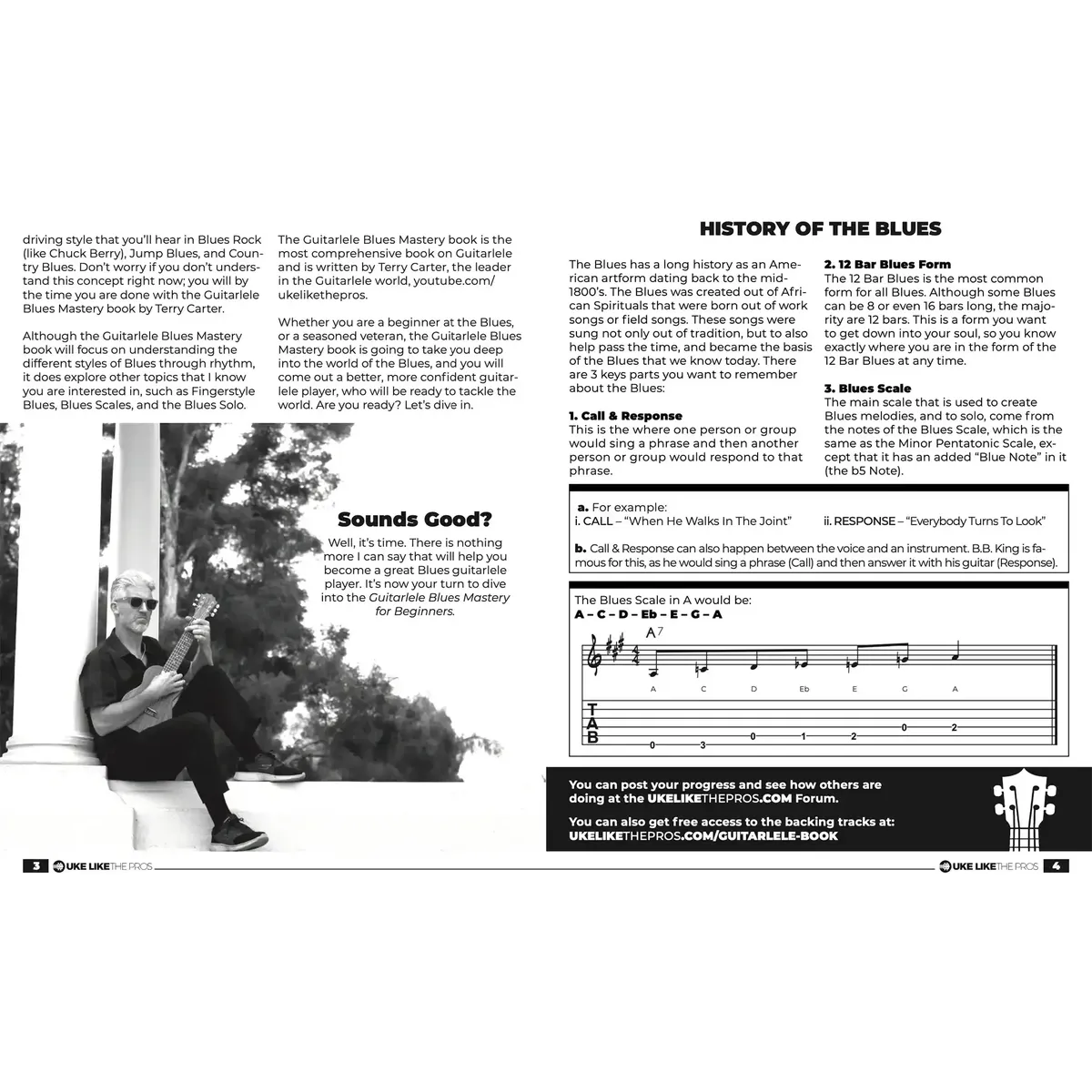 Guitarlele Blues Mastery Book - Image 2
