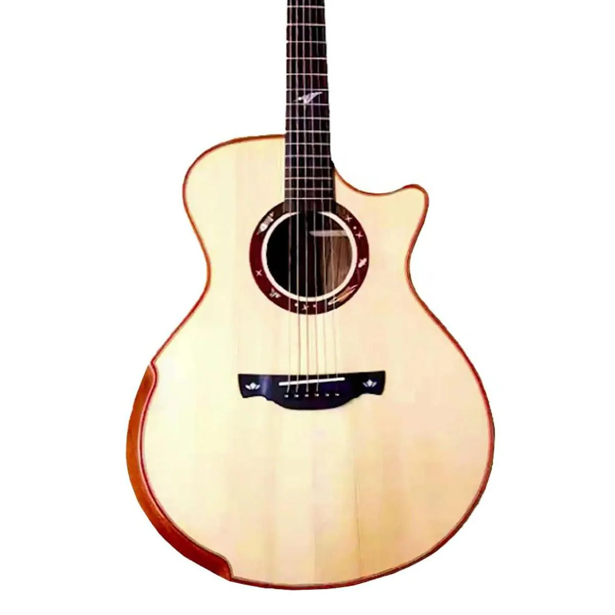 Willow Creek FX-PG9Z Ziricote Pro Acoustic Grand Auditorium Guitar w/ FXE & Bluetooth